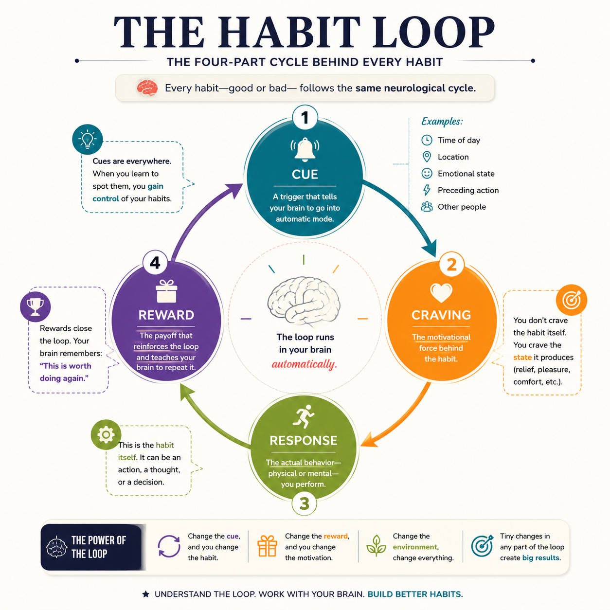 The Habit Loop.png